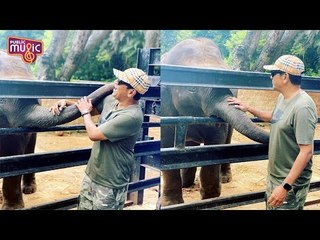 Hattrick Hero Shivarajkumar Visits Mysuru Zoo
