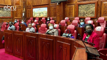 Mabwenyenye Wa Kuzalisha Umeme  Wamulikwa Na Wabunge