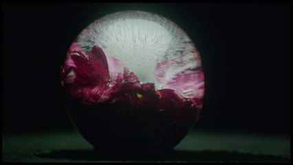 Charles Lloyd & The Marvels - Anthem