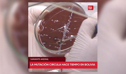 Variante Andina circula en Bolivia hace tiempo