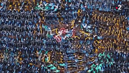 Chine : des milliers de vélos stationnent dans des cimetières géants