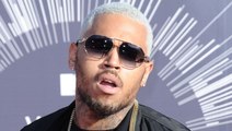 Chris Brown Sued By Housekeeper For Dog Attack
