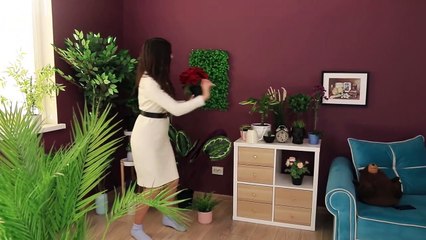 Expectativa vs Realidad / Situaciones Graciosas con las que Te Identificarás