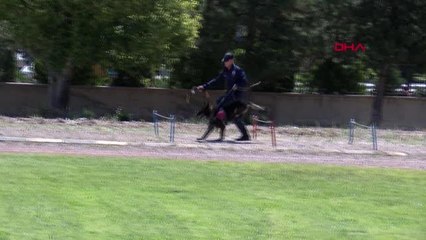 JAKEM'DE EĞİTİLEN KÖPEKLER YARIŞTI