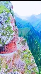 In nature, nothing is perfect and everything is perfect. ...