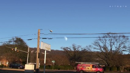 Gezegenler Ay'ın bulunduğu mesafede olsaydı nasıl gözükürdü?