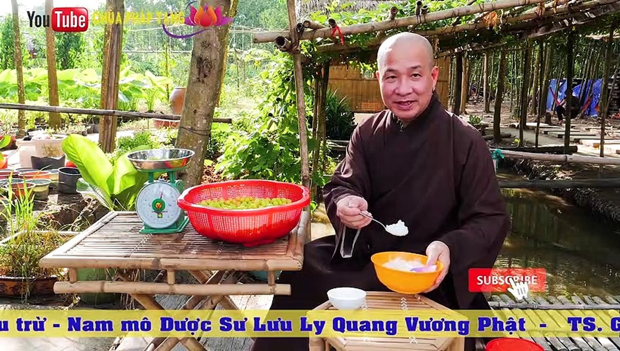 Bài Thuốc Trị Bệnh Vảy Nến, Bệnh Chàm (rất Hay). Gs. Lương Y. Thầy Thích Trí Huệ  Chùa Pháp Tạng