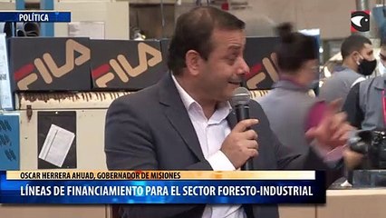 Líneas de financiamiento para el sector foresto-industrial