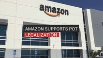 Amazon Supports Pot Legalization