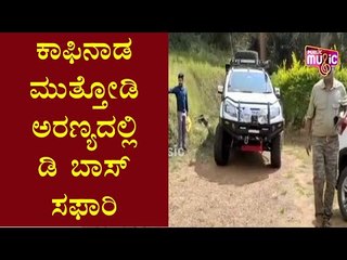 ಕಾಫಿನಾಡ ಮುತ್ತೋಡಿ ಅರಣ್ಯದಲ್ಲಿ ಡಿ ಬಾಸ್ ಸ್ನೇಹಿತರ ಜೊತೆ ಸಫಾರಿ