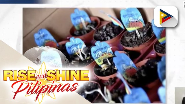 BOC-NAIA, nasabat ang 276 na mga critically endangered carnivorous plants sa isang warehouse sa Pasay City