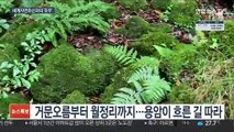 만 년의 시간을 따라…숨은 제주를 만나다