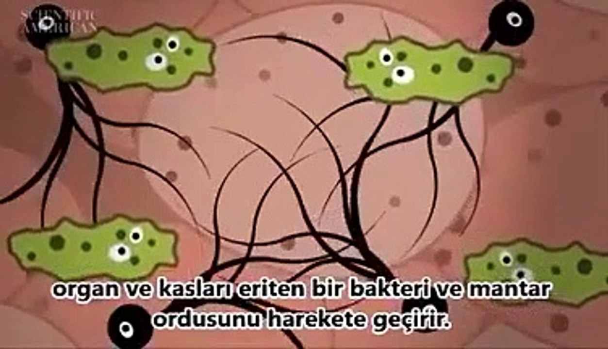 Öldükten sonra bedenimize neler oluyor?