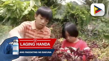 Edible landscaping patok sa Cordillera