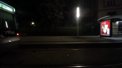 Grenoble  juillet 2021   La France  (5)