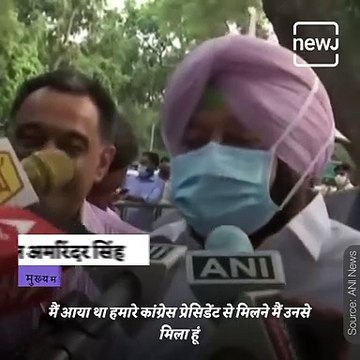 Punjab CM Amarinder Singh Meets Sonia Gandhi To Resolve Punjab's Political Issues, Here Is What Happened