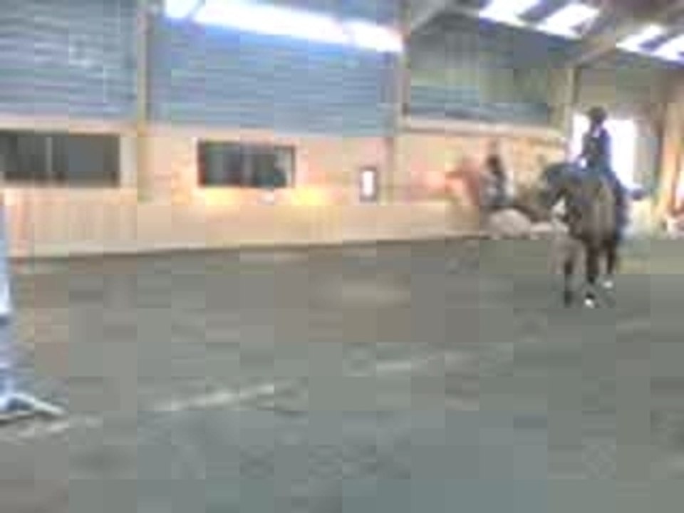 saut d'obstacle avec newton !