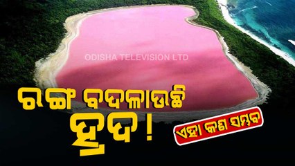 Special Story | Know All About This Pink Lake In Australia