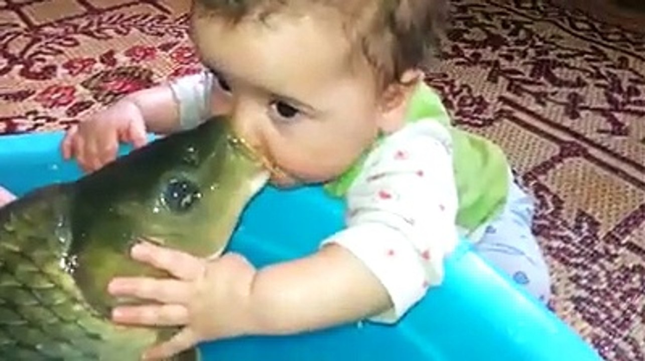 Bebekle balığın inanılmaz sevgisi