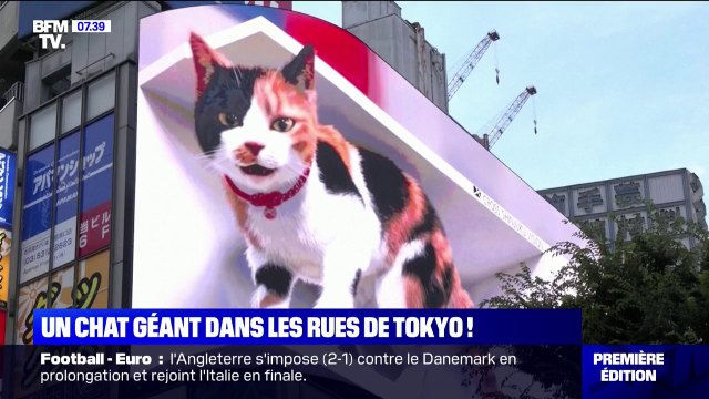 Un chat géant en 3D sur un panneau publicitaire fait sensation dans les rues de Tokyo