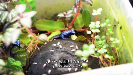 وظيفة أحلامي: رجل الزواحف