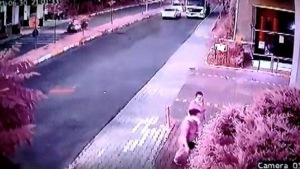 Son dakika haberi | AVCILAR'DA MOTOSİKLETLİ KURYELERİN FECİ KAZASI KAMERADA