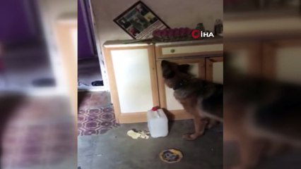 Elazığ’da 2,5 kilo esrar ele geçirildi