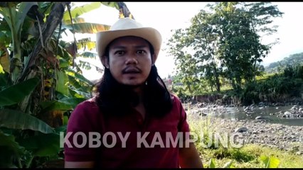 Cara Berternak Ayam Petelur Modal Minimalis