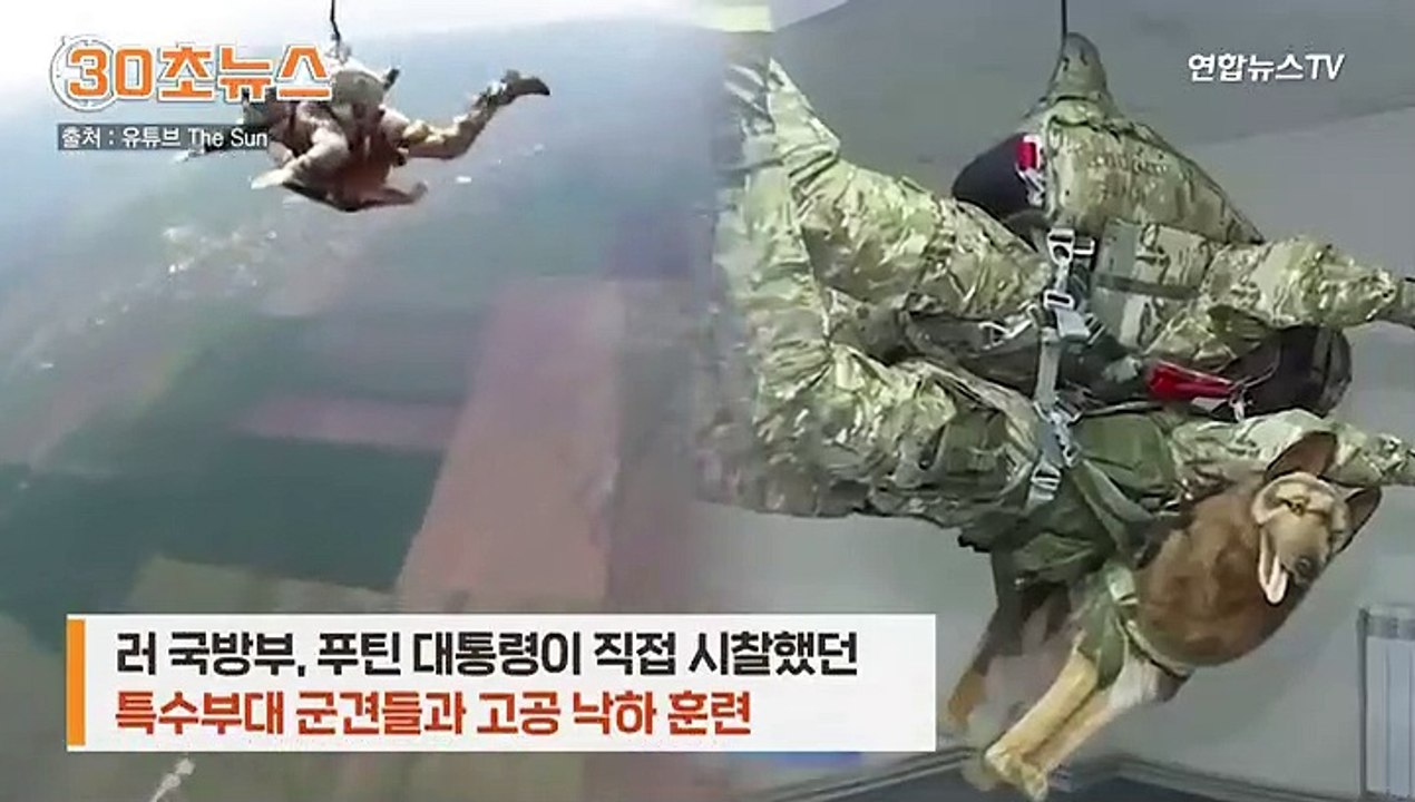 [30초뉴스] 러시아 특수부대 군견들 4천m 상공 낙하 훈련…"개들도 비행인지"