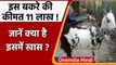 Uttar Pradesh: बकरे की कीमत 11 लाख, Delhi से पहुंच रहे खरीददार, जानें खासियत । वनइंडिया हिंदी