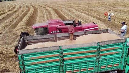 Doğuda kuraklık, Trakya’da görülmemiş bolluk