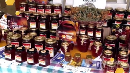 Benefits of Eating Honey for your Body