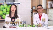 갱년기 유산균 YT1은 뼈 도둑 골다공증 예방에도 GOOD TV CHOSUN 20210708 방송