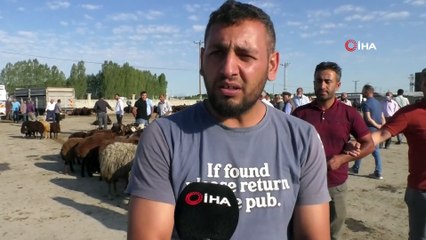 Hayvan pazarında Kurban Bayramı hareketliliği başladı