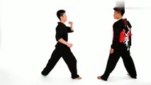 29-Step Forward Step Back Technique - Taekwondo Training