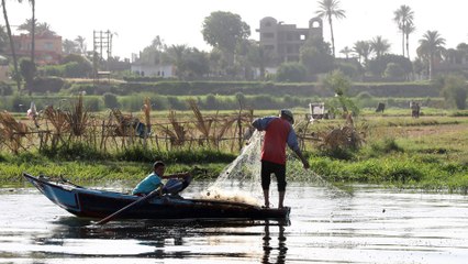 Скачать видео: أضرار يمكن أن يلحقها سد النهضة الإثيوبي بمصر والسودان