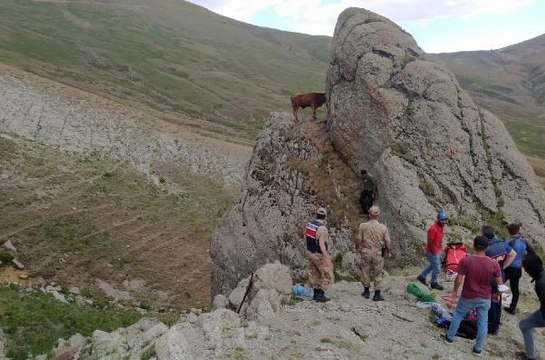 KAYALIK BÖLGEDE DANA KURTARMA SEFERBERLİĞİ