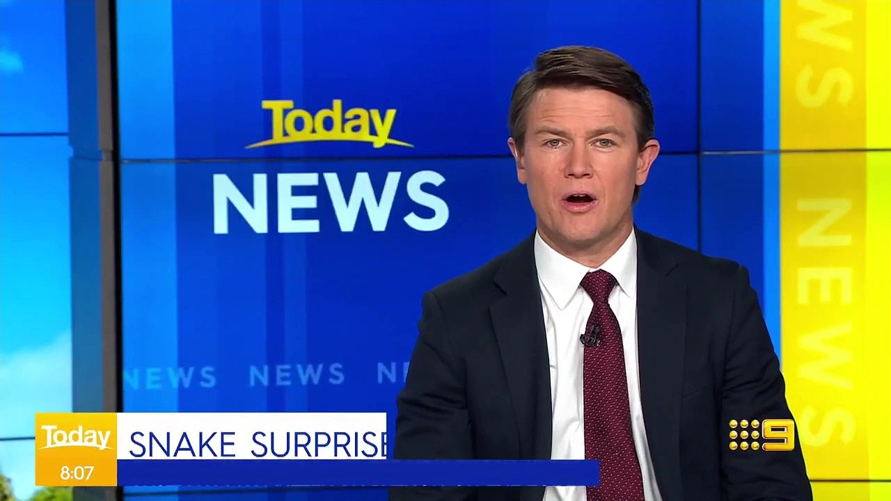 Autriche: Un homme se fait mordre par un python d'environ 1m60 dans les toilettes - Le serpent s’était enfui de chez un voisin - VIDEO