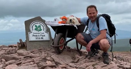Cet homme a emmené son chien atteint d'un cancer faire une dernière promenade sur son itinéraire favori