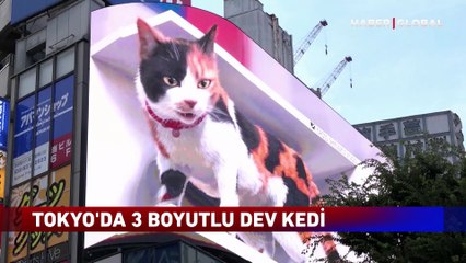 Japon işi 3 boyutlu dev kedi kamerada