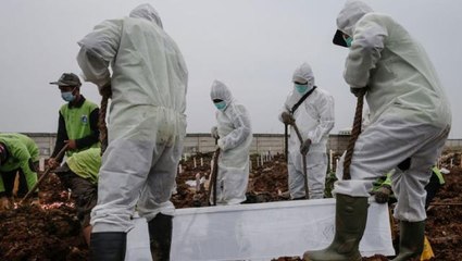 Sinovac araştırmasını yürüten ünlü bilim insanı Novilia Sjafri Bachtiar korona nedeniyle hayatını kaybetti