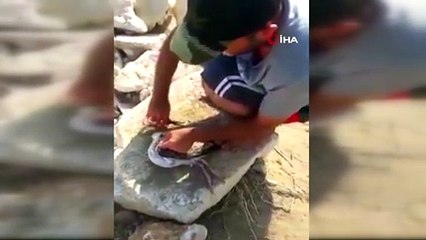 Gagasına misina dolanan martı amatör balıkçı tarafından kurtarıldı