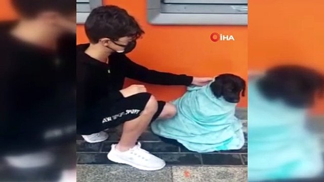 13 yaşındaki çocuktan alkışlanacak hareket...Yağmurdan ıslanan yavru köpeği görünce üzerini battaniye ile örttü