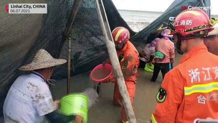 Çin'de karaya vuran balinaları kurtarmak için zamana karşı yarış | Video