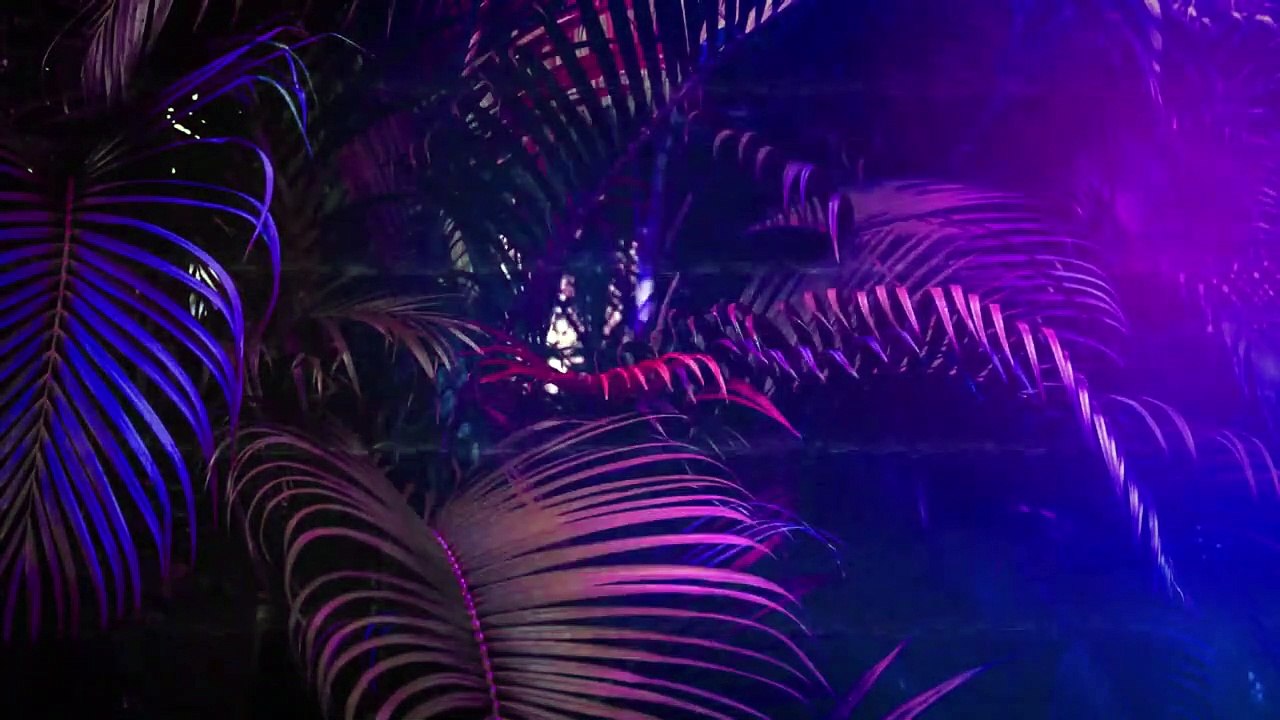 Diy Closet Makeover 2019 (Budget Friendly Custom Closet Progress)