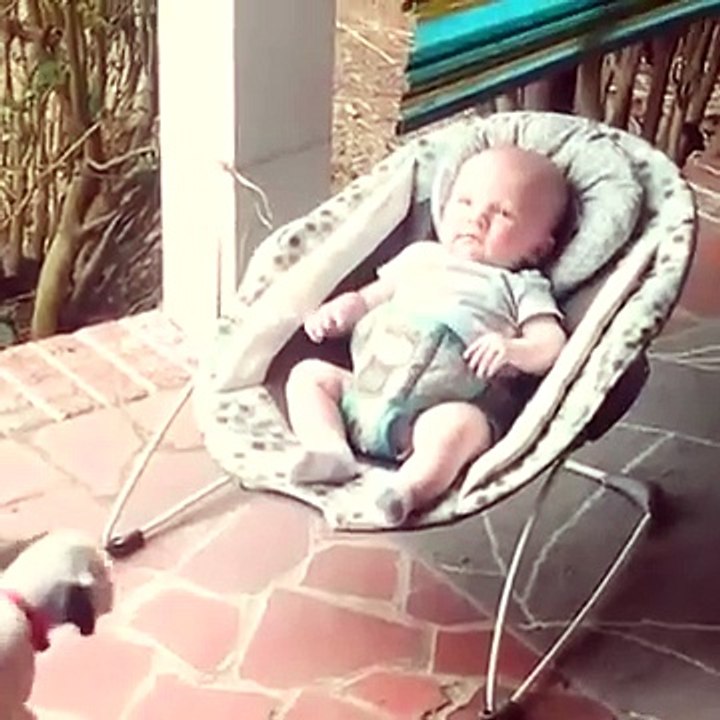 Sevimli bebek ve köpek