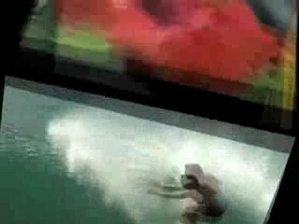 Your Man Tours - Hawaii Cruises and Tours