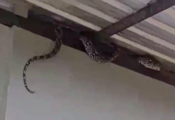 เรื่องพลบค่ำ ช่วงที่ 2 วันพฤหัสบดีที่ 8 ก.ค.64