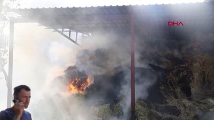 BURDUR'DA SAMANLIK YANGINI