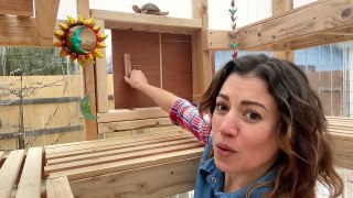 Wood Framed Greenhouse| Anchoring A Greenhouse Idea | Diy Greenhouse Design